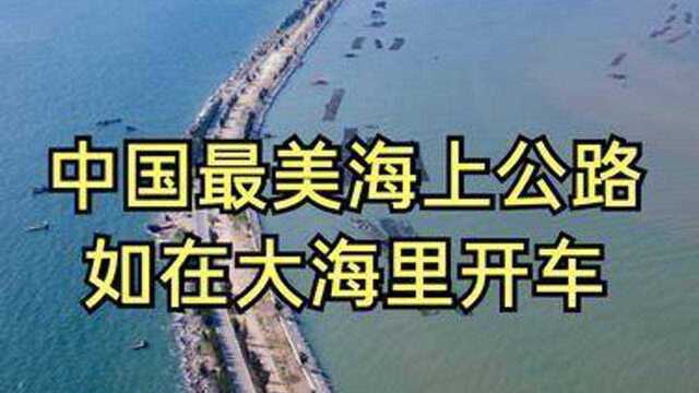 广西钦州发现最美海上公路,全长15公里,许多人慕名来自驾体验 #寻找最美旅行地