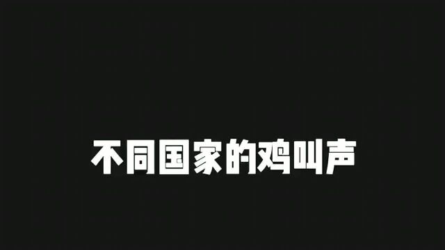 比较不同国家的鸡叫声,还是咱家的鸡叫声最正宗!你听听这声音多好听