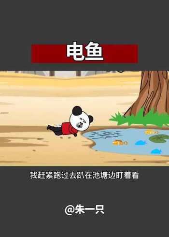 搞笑沙雕动画:电鱼