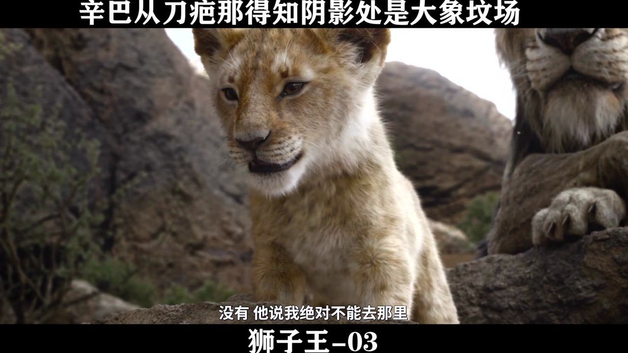 狮子王-03，辛巴从刀疤那得知阴影处是大象坟场，内心十分想去_高清1080P在线观看平台_腾讯视频