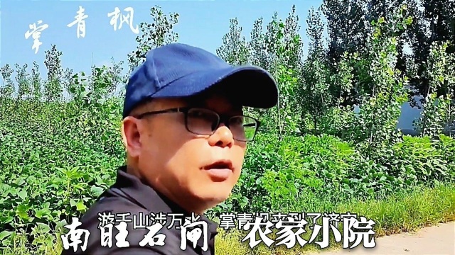 旅游济宁南旺,看了石闸村的农家小院,绿油油一片真惊人