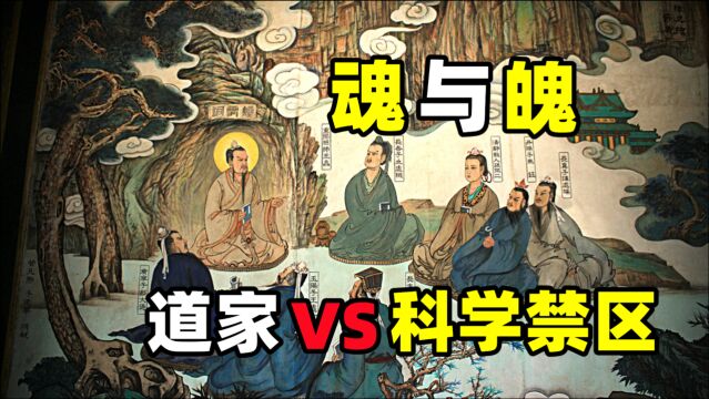 大脑中的魂与魄,东方道家文化挑战科学禁区!长生之术的秘密!