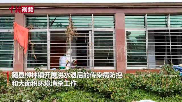 湖北随县柳林镇开展大面积环境消杀