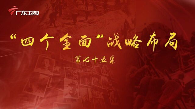 《百年奋斗为人民》第七十五集:“四个全面”战略布局