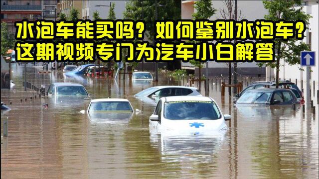 水泡车能买吗?如何鉴别水泡车?这期视频专门为汽车小白解答