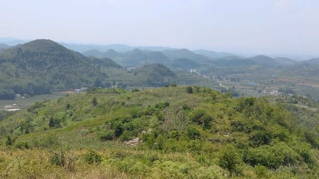 山河风水考察谢氏祖地,此乃大地格局,为何无贵