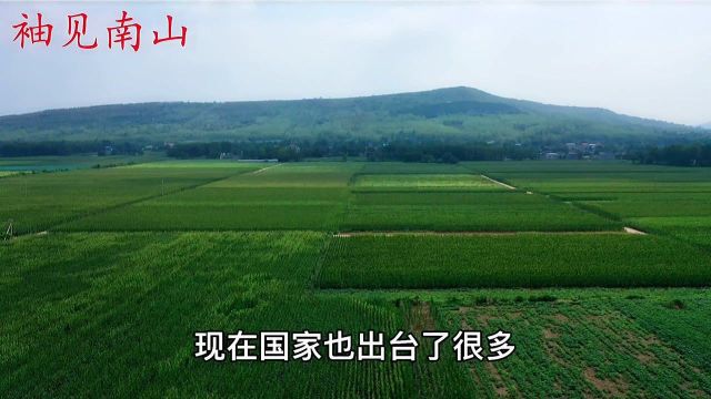 农村合作医疗要退钱了,这三类人真有福气,看看有你吗?