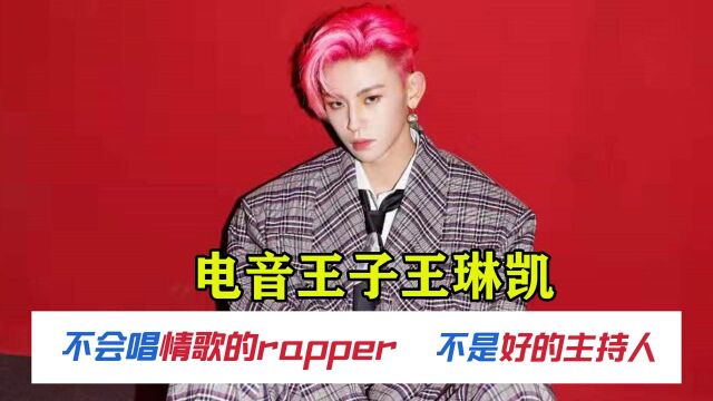 电音小王子王琳凯,不会唱情歌的Rapper,不是好主持人