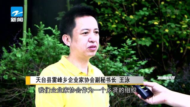 天台雷锋:乡贤筹资百万 助力“云上共富”