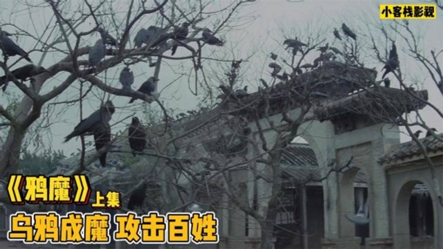 乌鸦群攻击村民,于是村里就请来了捕鸟大师,却不料乌鸦竟已成魔!