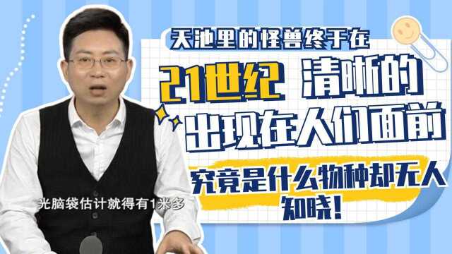 天池里面的怪兽,终于在21世纪清晰的出现在人们面前,究竟是什么物种却无人知晓