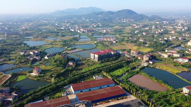 航拍衡阳西大门城乡结合部 衡州大道蒸湘区雨母山镇初秋田园风光