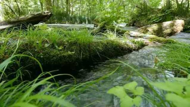 励志经典语录:水到绝境是风景,人到绝处是重生