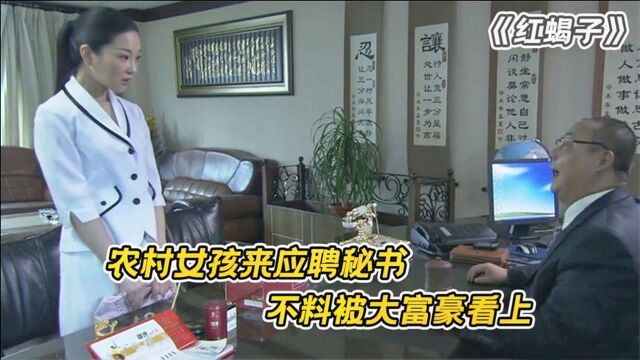 农村姑娘应聘公司秘书,竟被董事长相中,从此走上人生巅峰