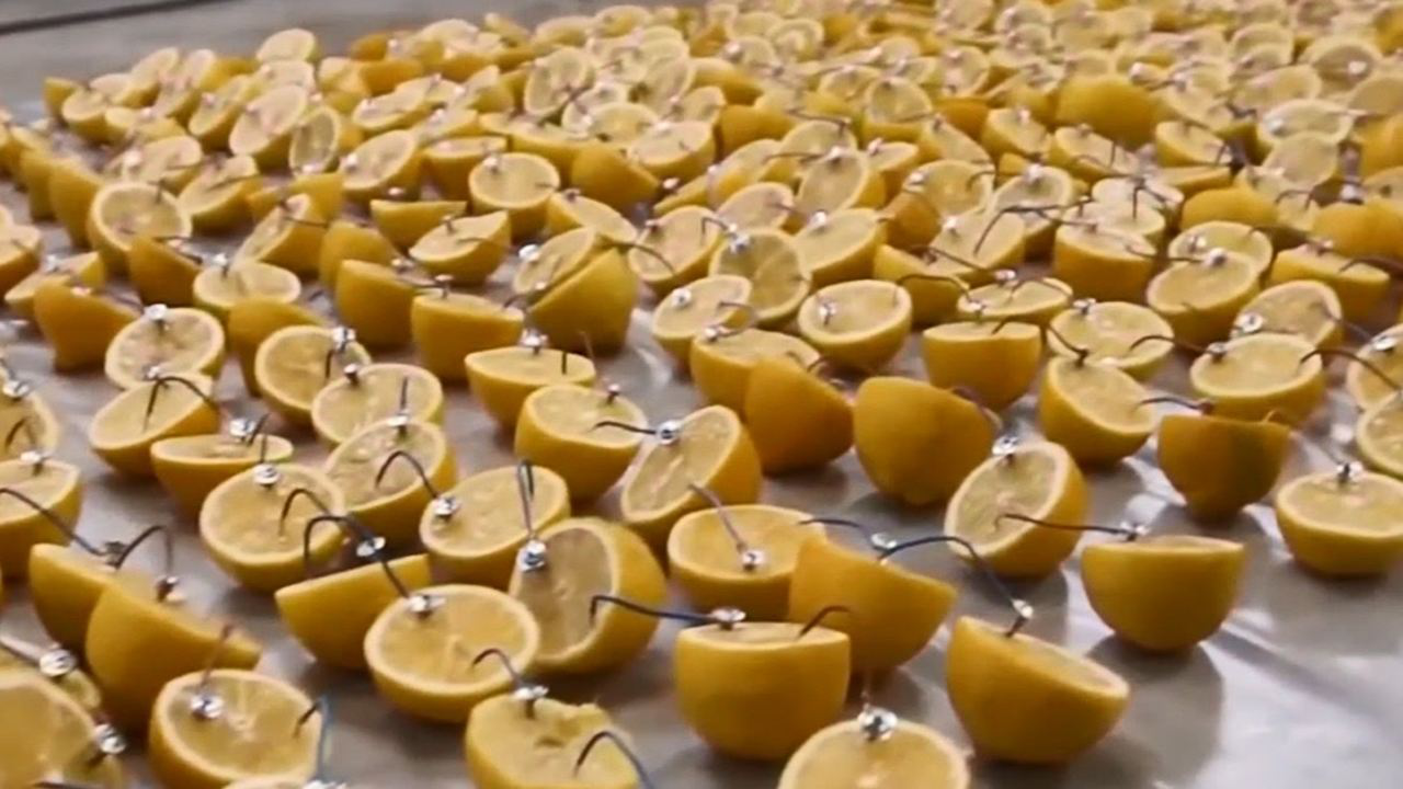 橙子能发电?用1000个橙子启动汽车,能成功吗