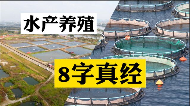 搞水产养殖成功有捷径!养鱼八字经,8个字解决养殖问题