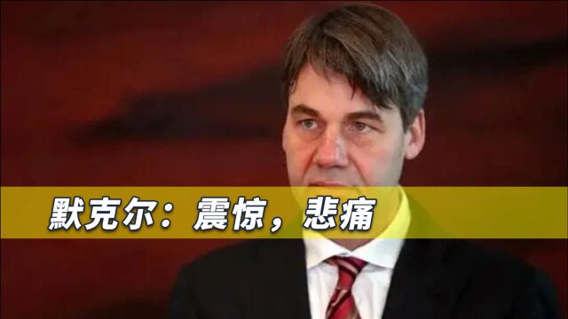 默尔克书面声明表示震惊悲痛,中方:深感震惊,愿尽可能提供便利