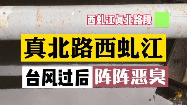 恶臭!上海普陀真北路西虬江附近,实在有点受不了