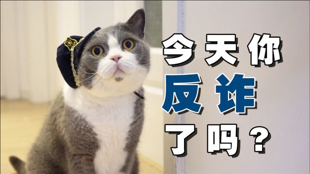 普法宣传,猫猫有责!