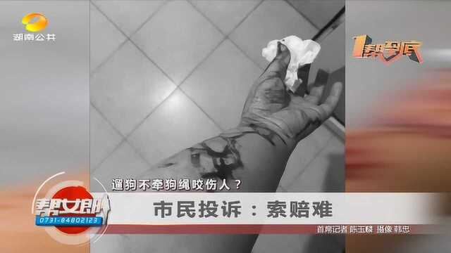 (一帮到底)遛狗不牵狗绳咬伤人?市民投诉:索赔难