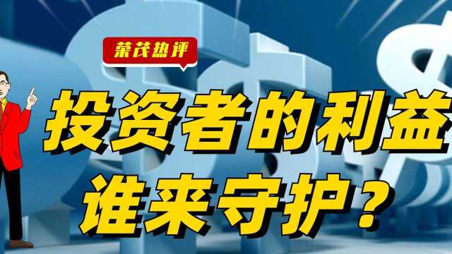 财务造假,投资者的利益谁来守护?