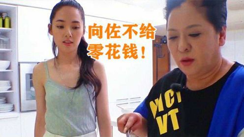 郭碧婷跟婆婆哭诉：向佐不给零钱花！婆婆随口一句，暴露真实家底