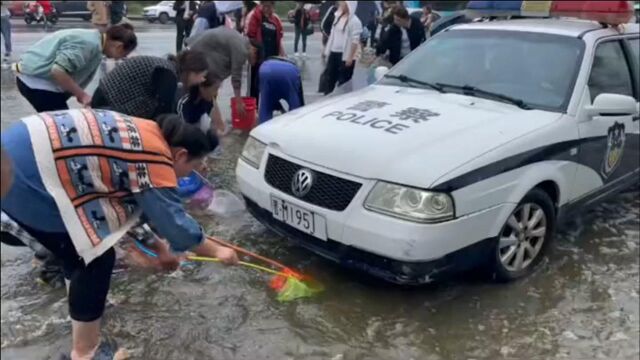 暴雨过后, 运城市市民们拿着网在街上捞鱼儿