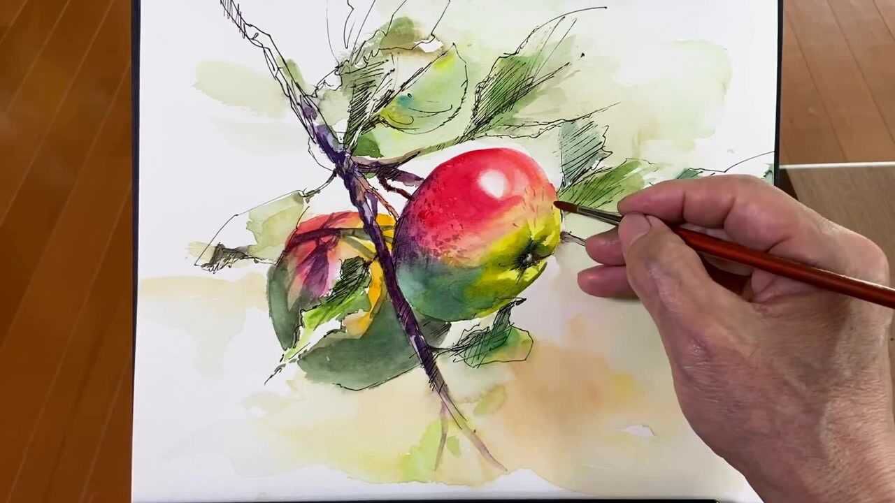 柴崎爷爷治愈水彩画系列:带枝叶的苹果水彩画技法