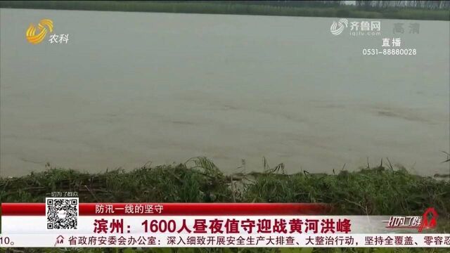 致敬!1600人闻汛而动,冒雨捆抛柳石枕,昼夜值守迎战黄河洪峰