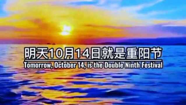 明天10月14日就是重阳节