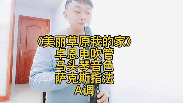 电吹管独奏《美丽草原我的家》