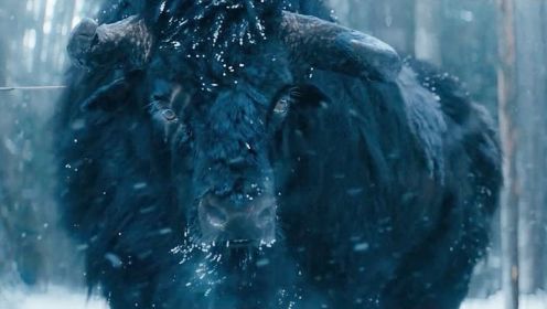 男子猎杀了一只野牛，却引发了人类大战，电影《维京：王者之战》