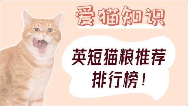 英短猫粮排行榜,优质猫粮推荐!