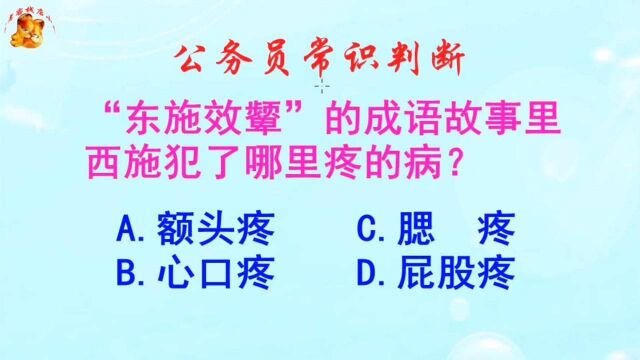 公务员常识判断,东施效颦的成语故事里西施犯了哪里疼的病?