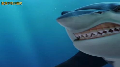 一只鲨鱼从不吃小鱼的，有个霸主老鲨鱼，有趣的动画。