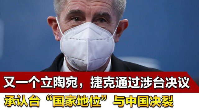 又一个立陶宛,捷克通过涉台决议,承认台“国家地位”与中国决裂