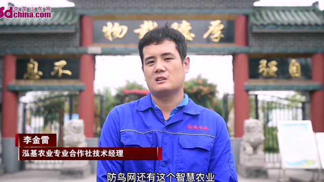 这就是淄博|泓基农业:全程可追溯 数字技术提升生产水平