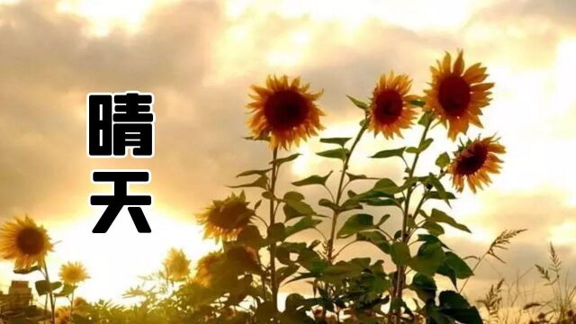 “刮风这天,我试过握着你手”钢琴弹唱版《晴天》,优雅永不过时