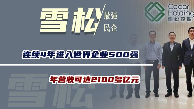 广州最强民企,连续4年进入世界企业500强,年营收可达2100多亿元