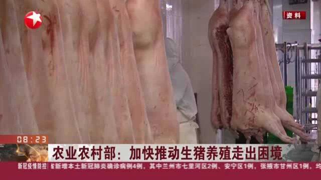 农业农村部:加快推动生猪养殖走出困境