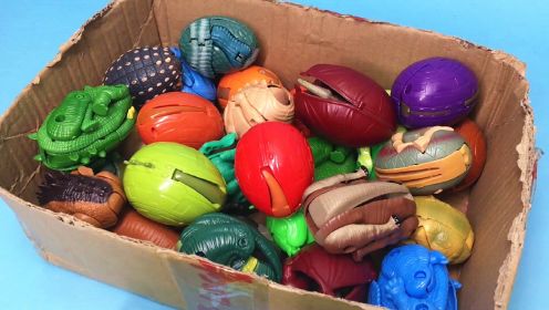 恐龙世界 废纸箱发现超多恐龙变形蛋恐龙变形玩具 玩具变变变