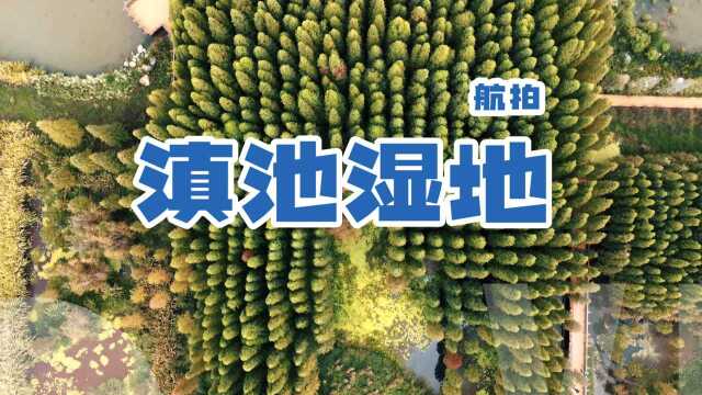 滇池东岸.斗南湿地公园航拍