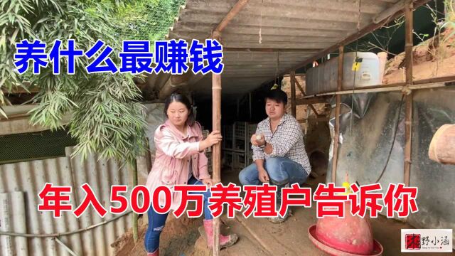 养什么最赚钱,8年养殖户收入500万,告诉大家,超暴利!