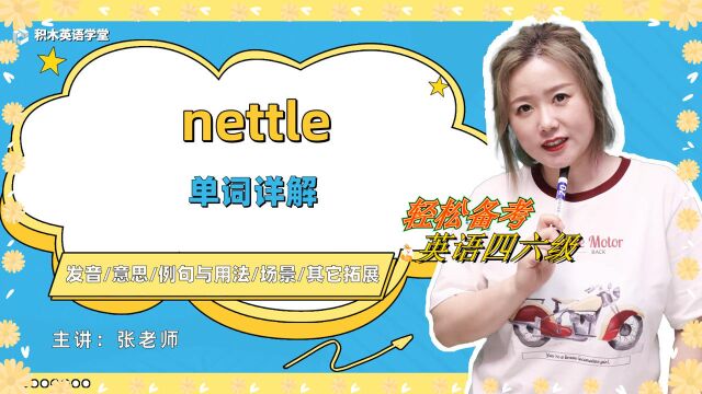 nettle知识点学习 轻松备考英语四六级 今日单词学习 搭配例句轻松学