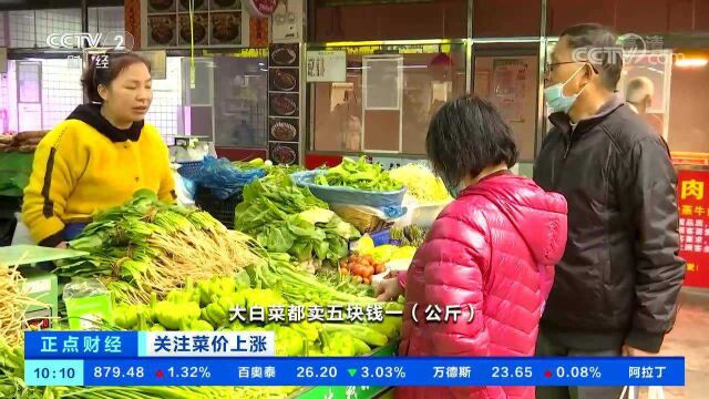 菜价上涨 多地菠菜涨幅居前 批发价达每公斤15元