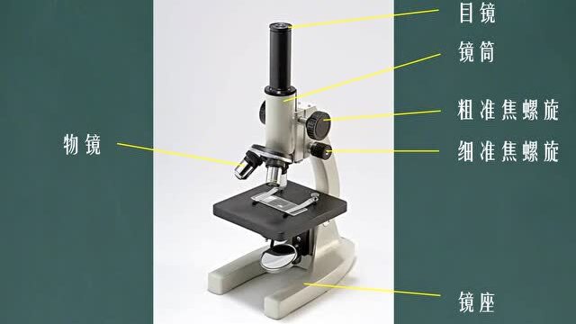 显微镜细准焦螺旋图片