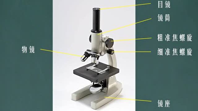 01高倍顯微鏡的使用