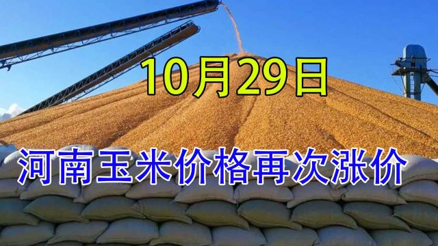 河南玉米价格又出现疯涨,6天涨了多少钱?来收购站了解真实价格