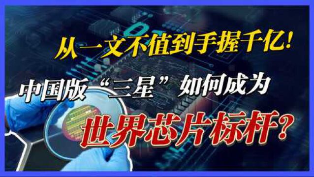 国产芯片迎来“猛兽”,被称“中国版三星”,把国产送至全球第三