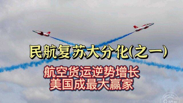 民航复苏大分化之一:航空货运逆势增长,美国成最大赢家